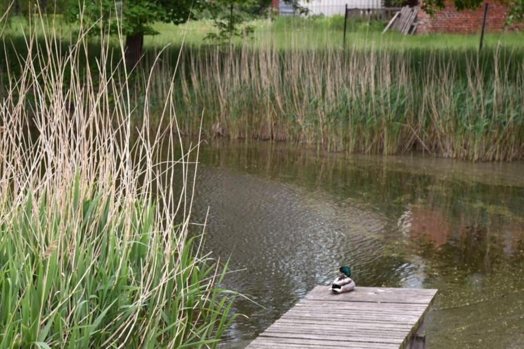 Forsthaus Lelkendorf / Ferienwohnung Exteriör bild